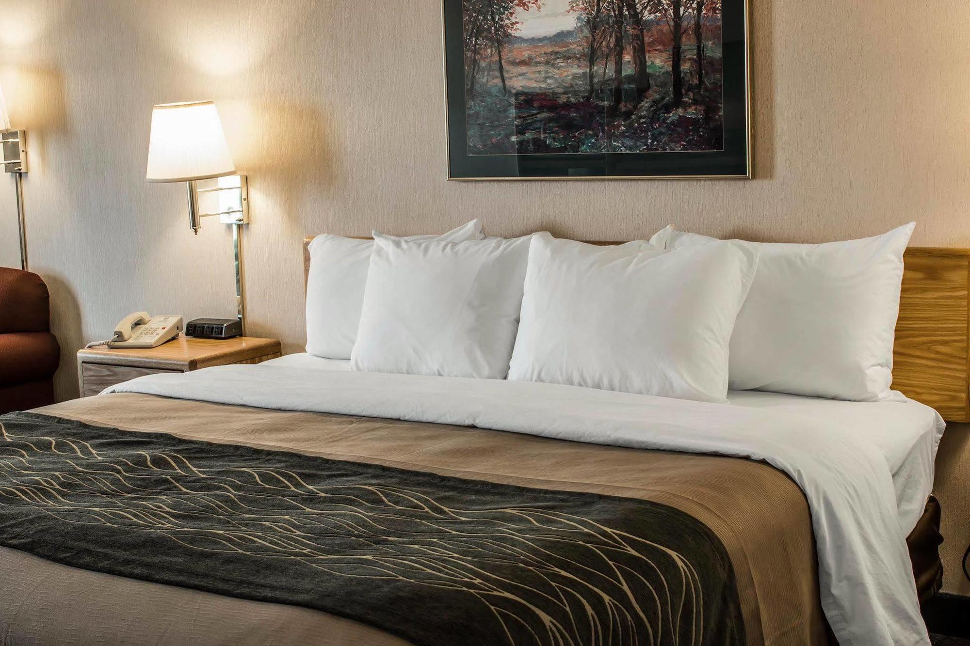 Comfort Inn Шарлотт Экстерьер фото